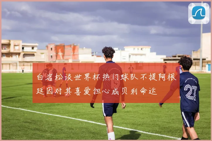 白岩松谈世界杯热门球队不提阿根廷因对其喜爱担心成贝利命运